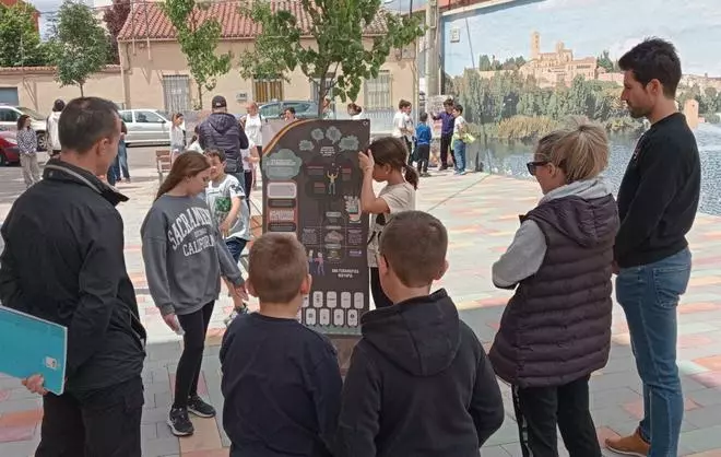 Alumnos zamoranos con la lección bien aprendida