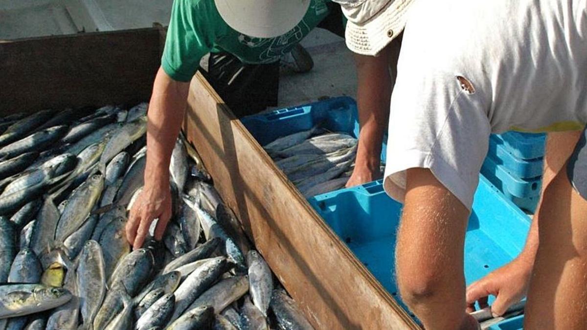 Hay un cupo máximo de 150 kilos por barco.