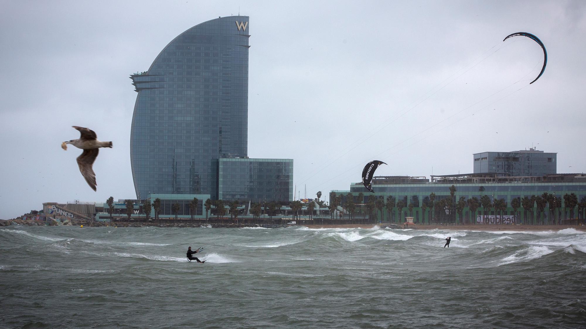 BARCELONA 14/03/2022 Sociedad las gaviotas y los kite surf disfrutan del temporal de lluvia y viento en la Barceloneta Foto Elisenda Pons