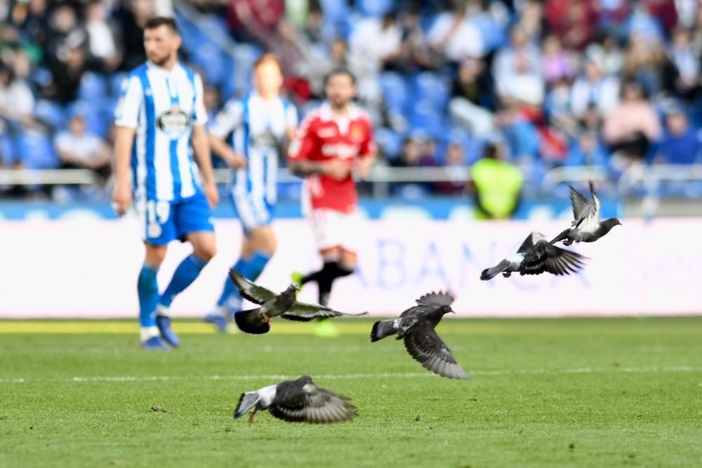 El Dépor no pasa del empate ante el Nàstic