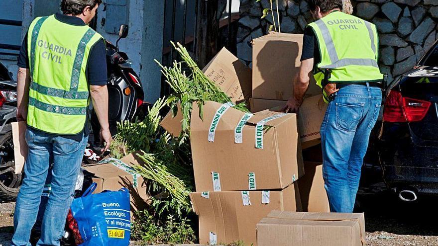 Agentes de la Guardia Civil, con parte de la marihuana intervenida en la operación.