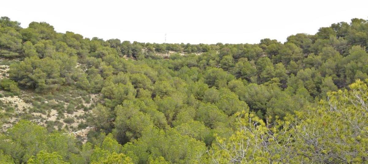 El Consell da luz verde a declarar paraje natural a la Sierra y el Cabo de Santa Pola