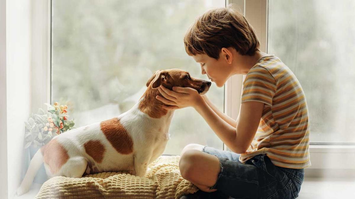 Adopción peludos