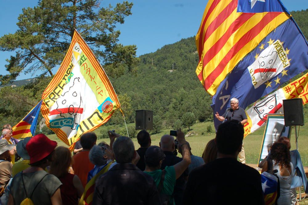 Aplec del Pi de les Tres Branques