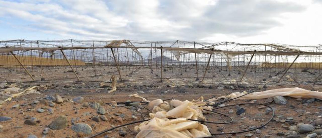 Invernadero abandonado en la localidad grancanaria de Santa Lucía de Tirajana. | |