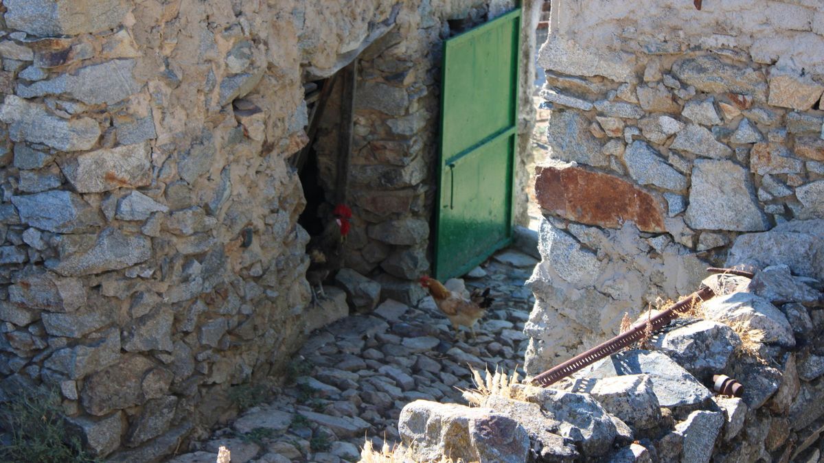 Imagen del corral de gallinas de Valeriano