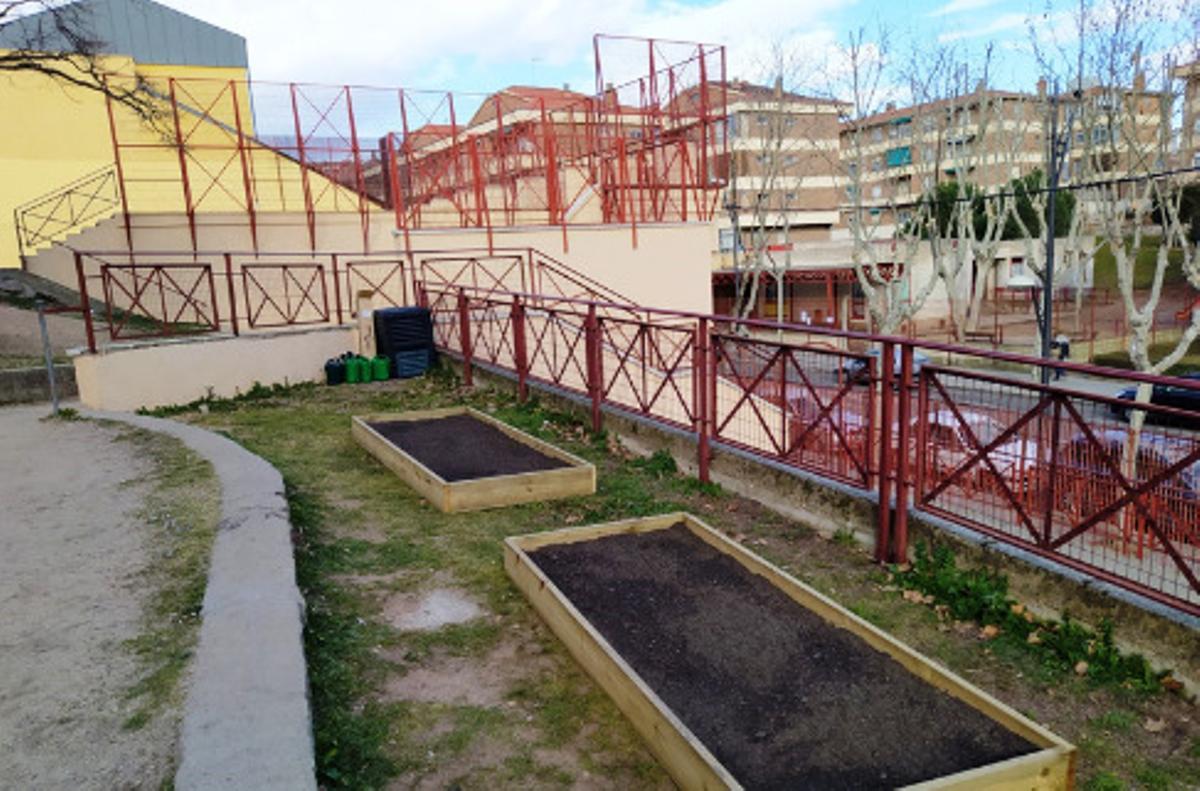 Huertos escolares en Zamora.