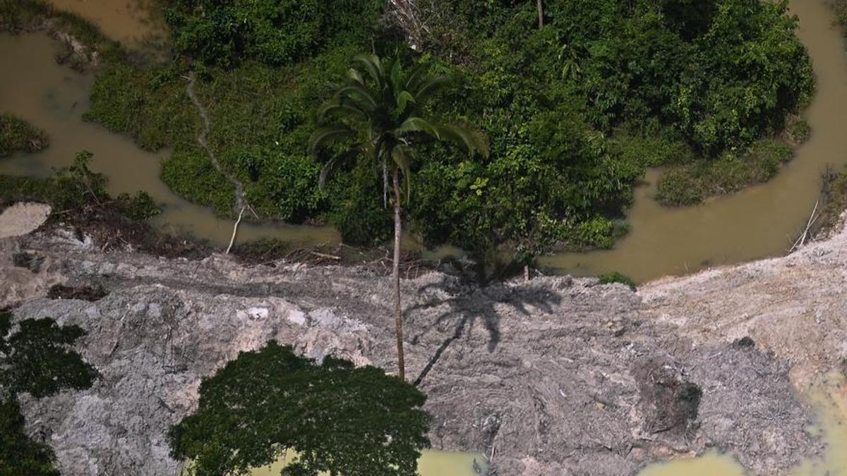 Vista aérea de la destrucción causada por la minería ilegal en la Floresta Ambiental de Altamira, durante una operación de las autoridades brasileñas contra este flagelo, el 14 de febrero de 2023 cerca a Itaituba (Brasil).