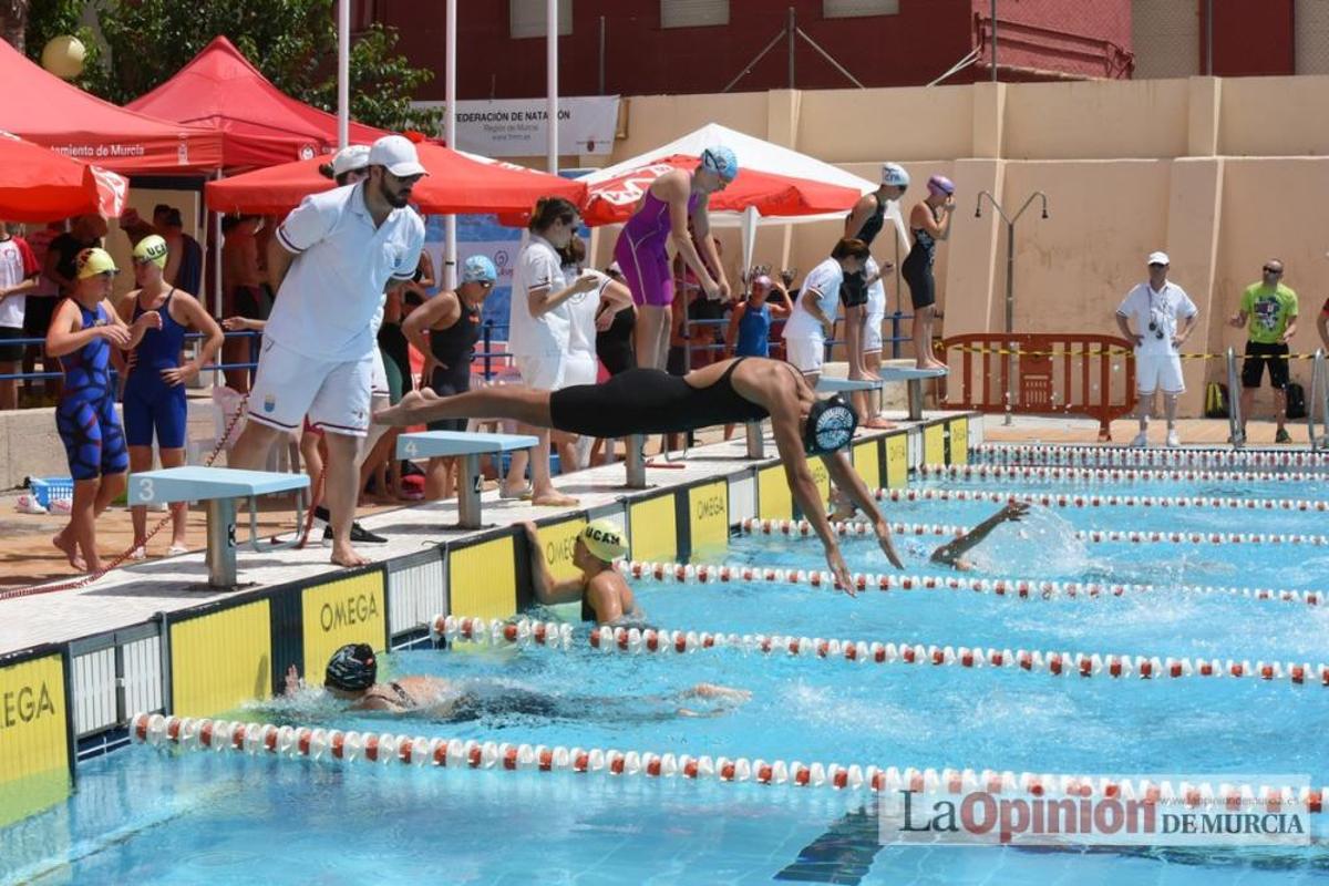 Final del Campeonato regional de natación.
