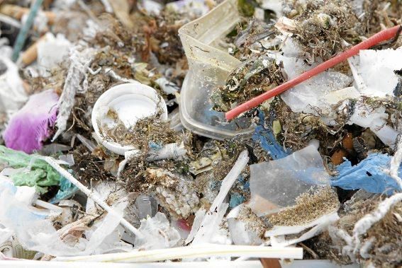 Immer mehr Plastik vermüllt das Meer vor der Küste. Die Kampagne "I Care" ermuntert zum Umdenken.