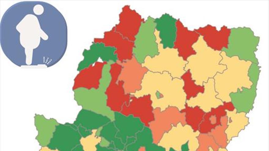 Obesidad y sobrepeso, repartidas entre Huesca y Teruel