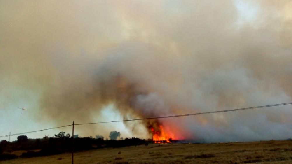 Fuego en Figueruela