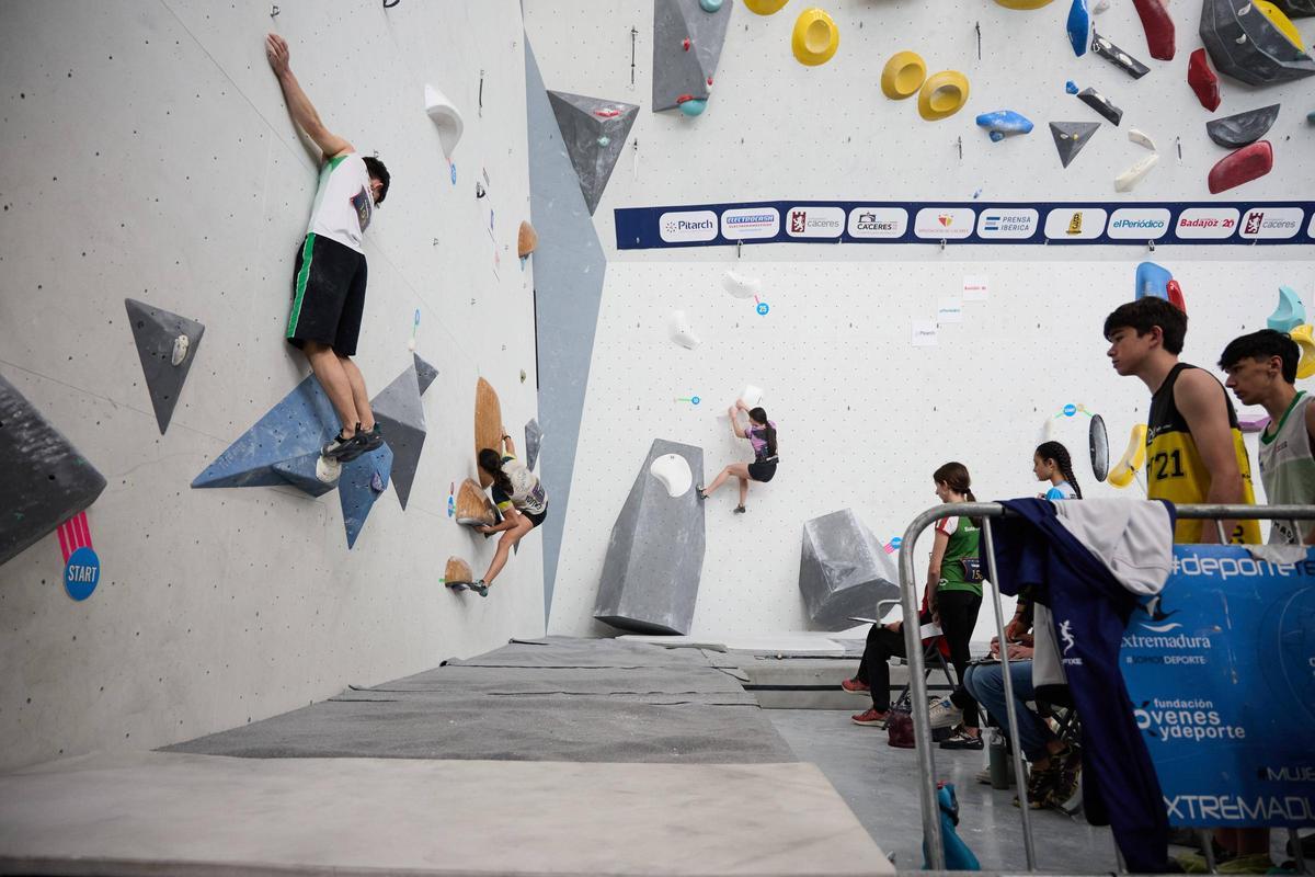 Galería | Galería | Instantáneas de la Copa de España de Escalada en Cáceres