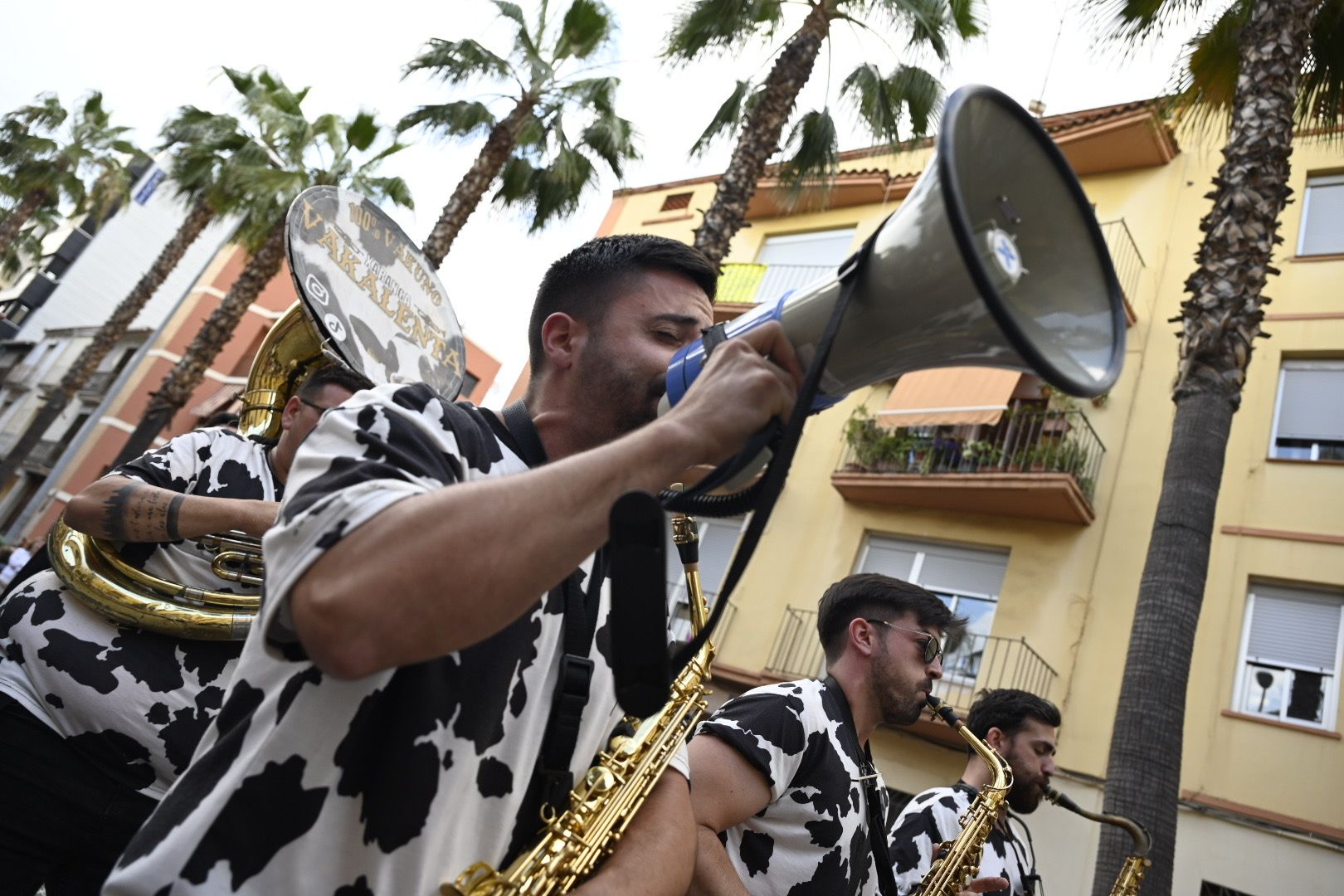 La cabalgata de Sant Pasqual en Vila-real, en imágenes