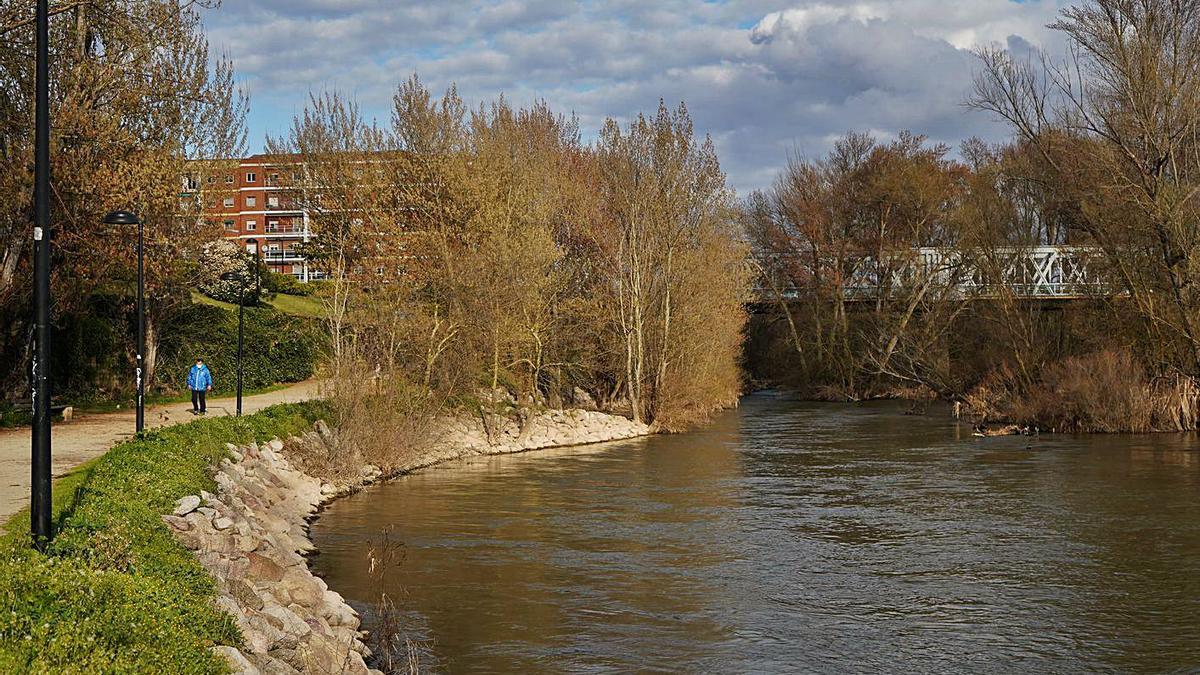 Entorno del río Duero bajo el puente de Hierro, donde se produjo el suceso.