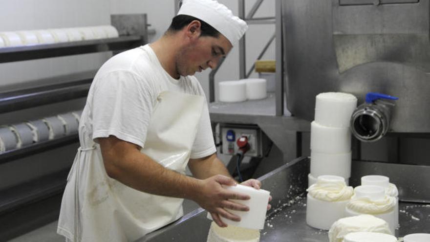 Julio Martín, en plena tarea de elaboración de queso