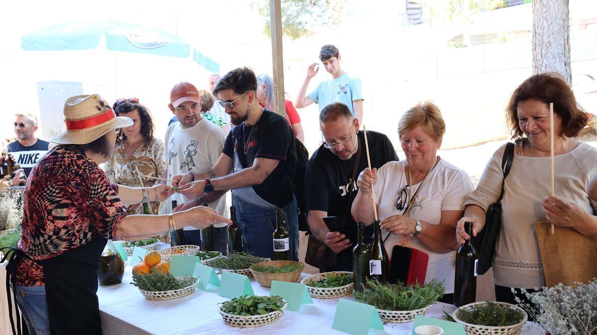 Taller de elaboración de hierbas ibicencas en Can Bonet