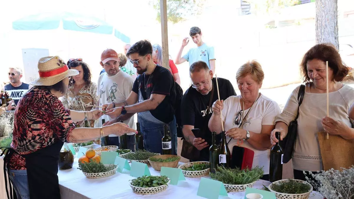 ‘Ses herbes’: una tradición de Ibiza que "no se tiene que perder"