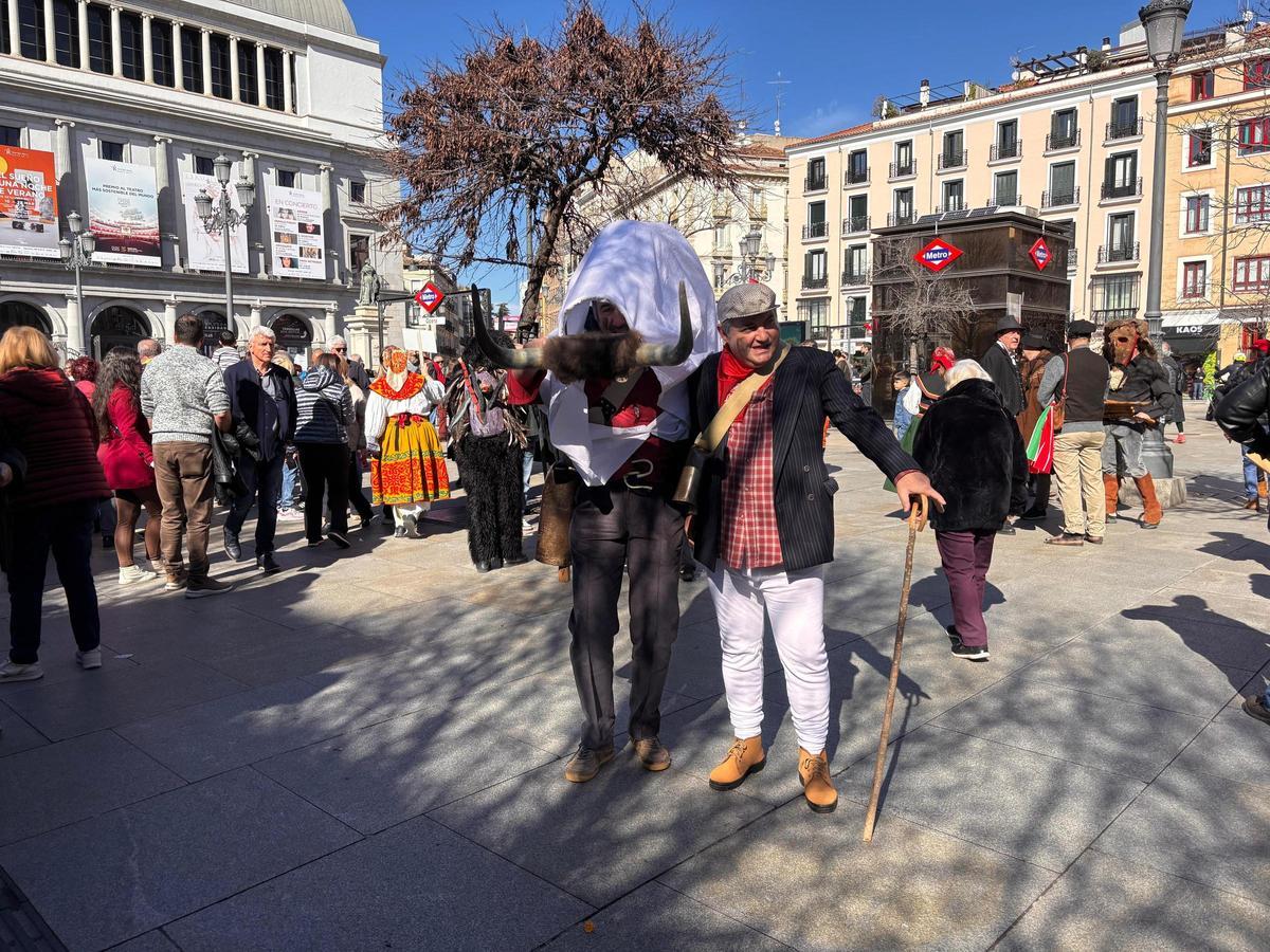GALERÍA | El Toro de Carnaval de Morales de Valverde, en imágenes