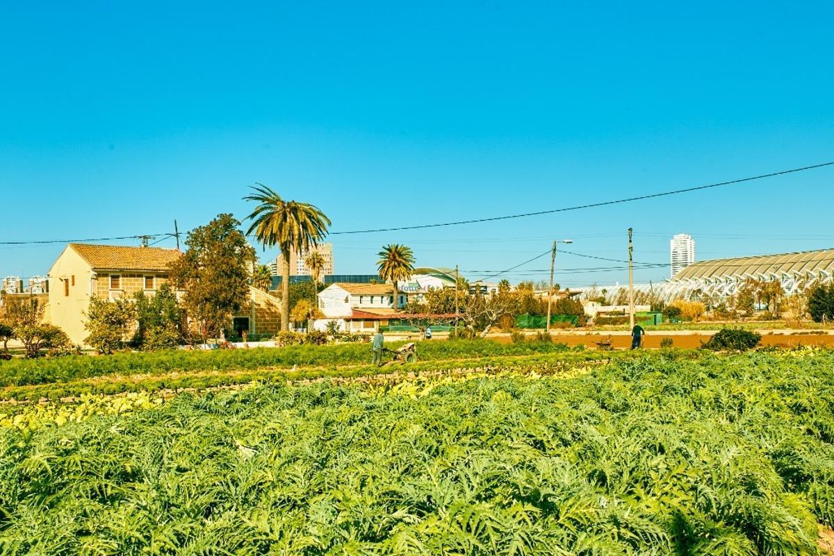 Compromís afea el plan de huerta de València: "Abre la puerta a la especulación en las zonas más vulnerables"