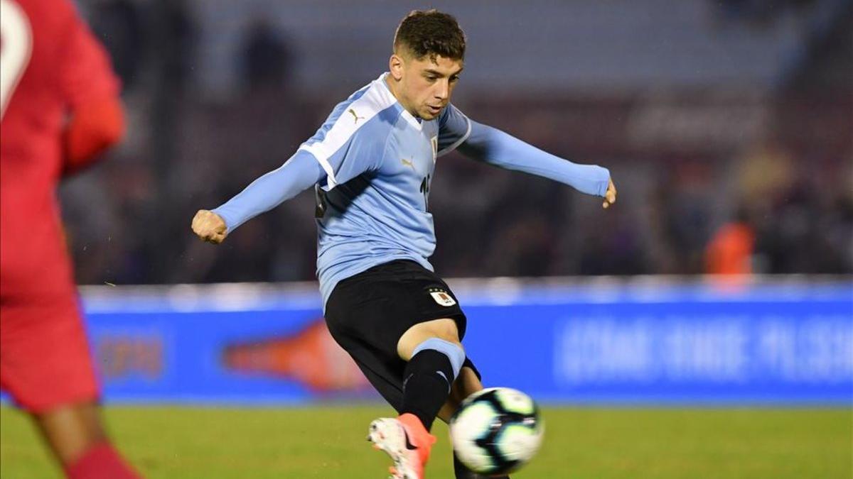 Federico Valverde quiere seguir sumando minutos con Uruguay