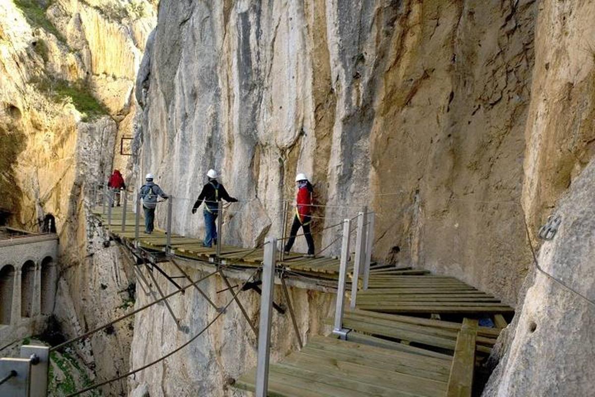 ctv-f0e-arc 206907 g