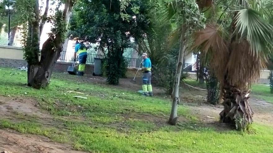 Limpieza de choque en los jardines y el parking de El Malecón