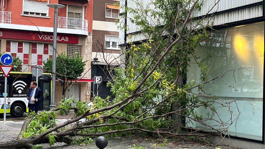 Aline impacta de lleno en Extremadura con vientos de 92 kilómetros por hora y abundantes lluvias