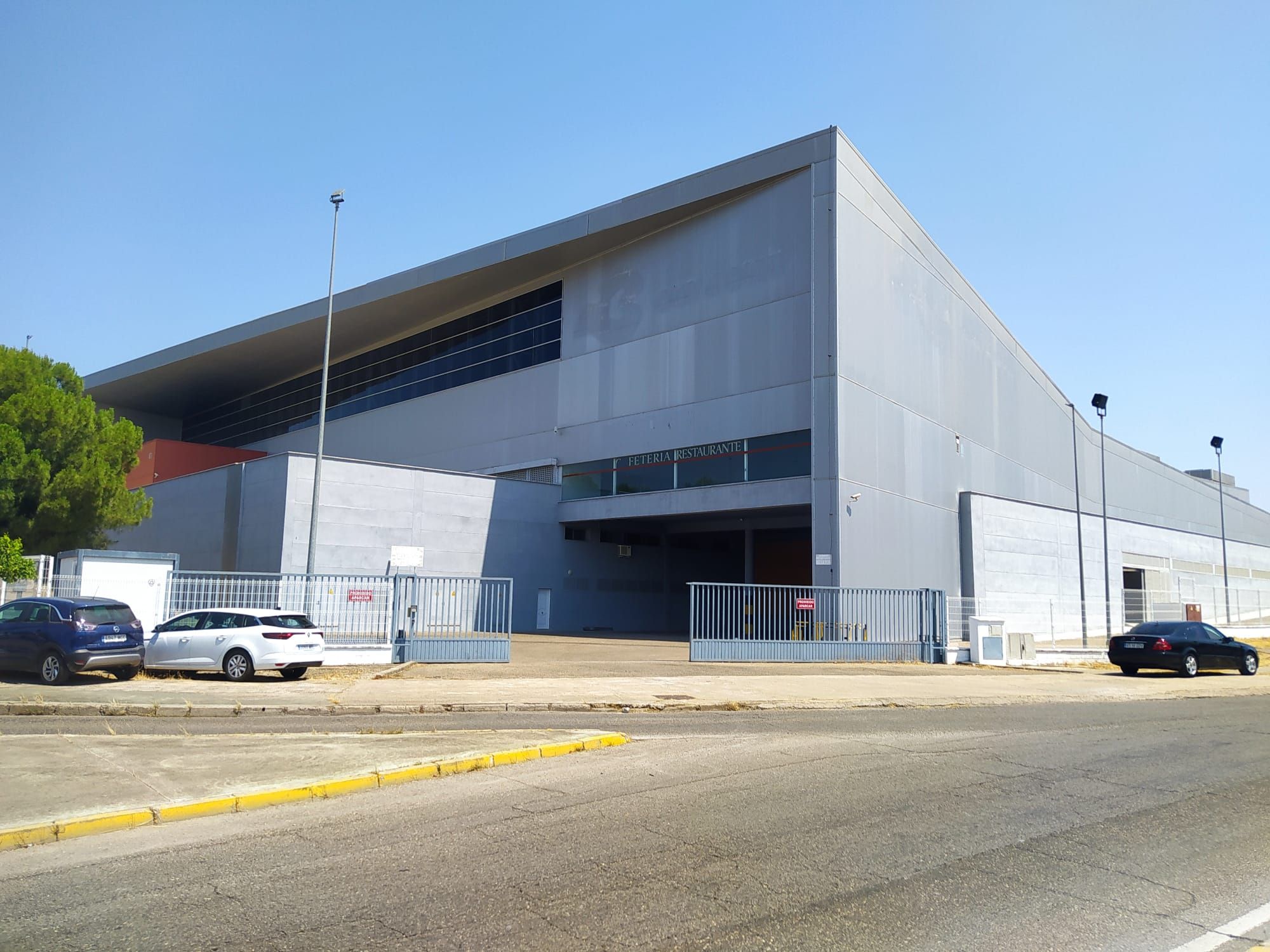 Graceful and captivating