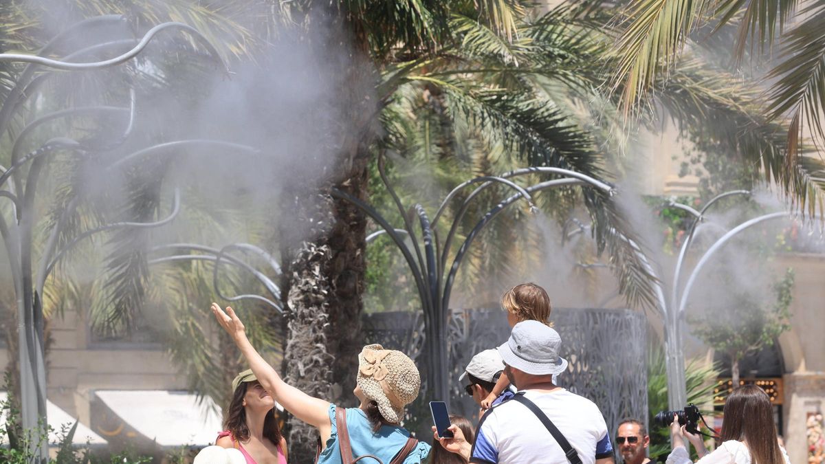 Plaza de la Reina de València, este domingo.