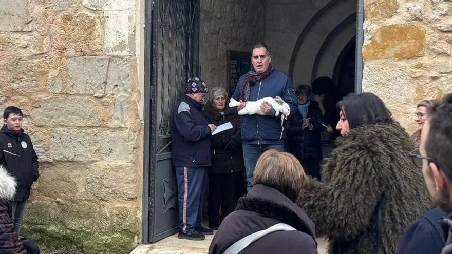 Benegiles mantiene las pujas en celemines por San Antón
