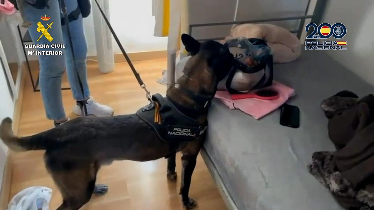 Uno de los registros efectuados