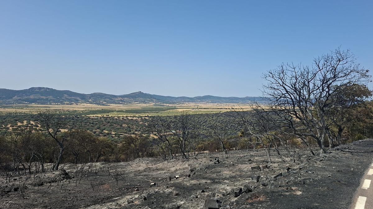 Fotogalería | Las consecuencias del incendio de Herrera del Duque, en imágenes Fotogalería | Las consecuencias del incendio de Herrera del Duque, en imágenes