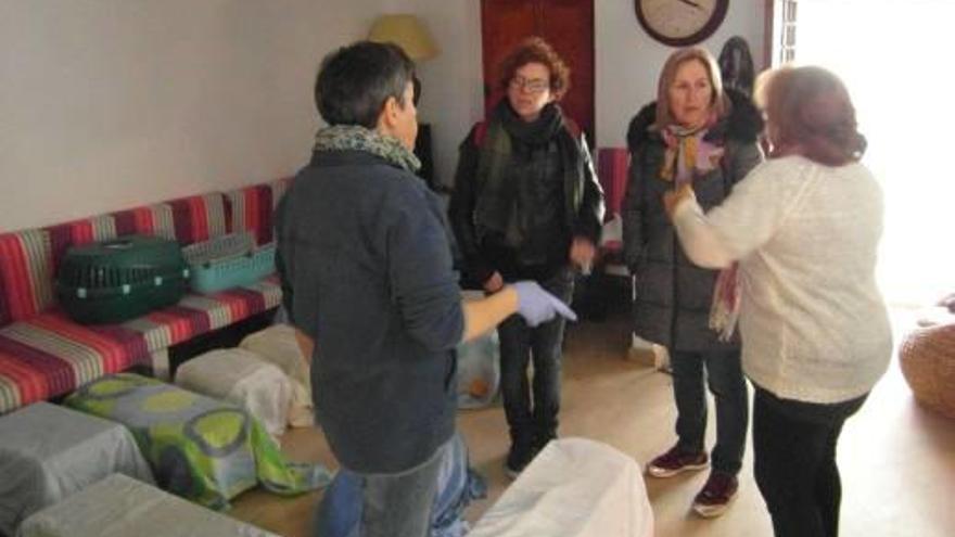 La concejal Marisol Moreno durante la campaña de esterilización llevada a cabo en la isla de Tabarca.