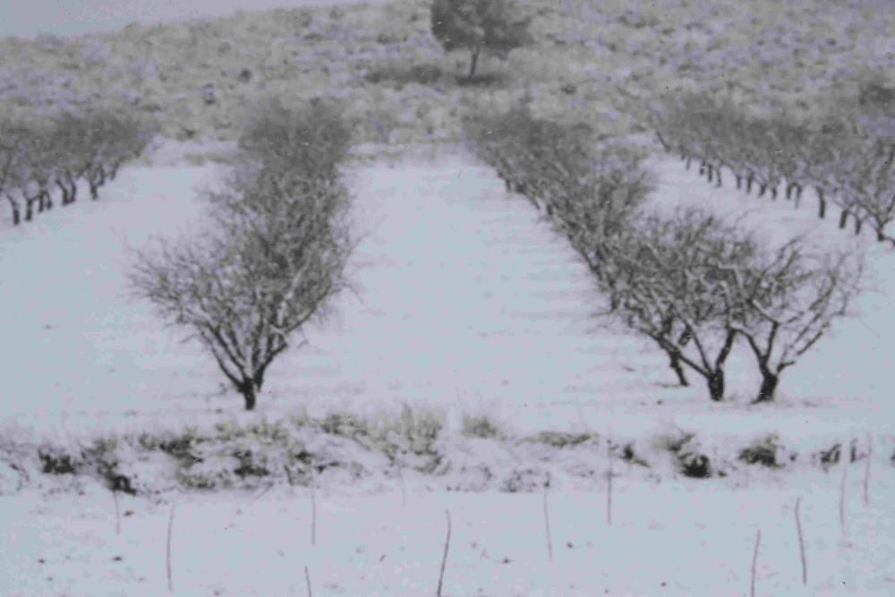 Nieve en Coy, Lorca