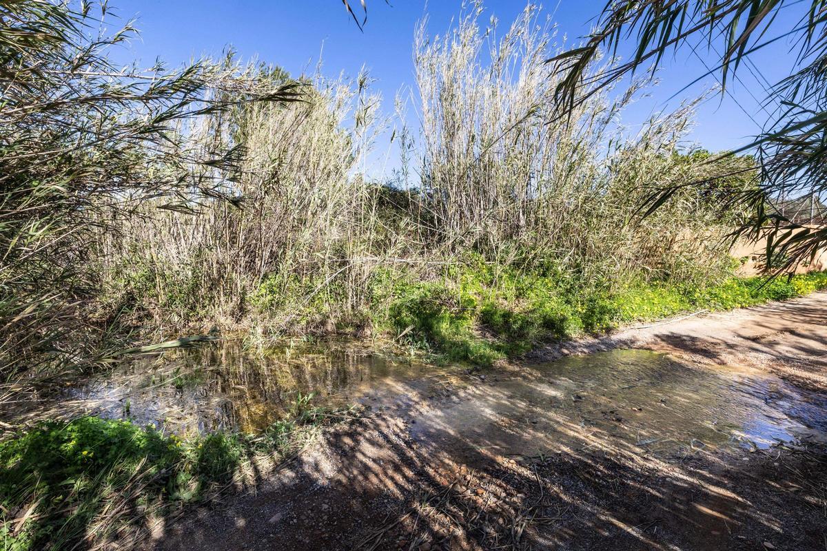 Imágenes de sa Fontassa y el río de Santa Eulària Imágenes de sa Fontassa y el río de Santa Eulària