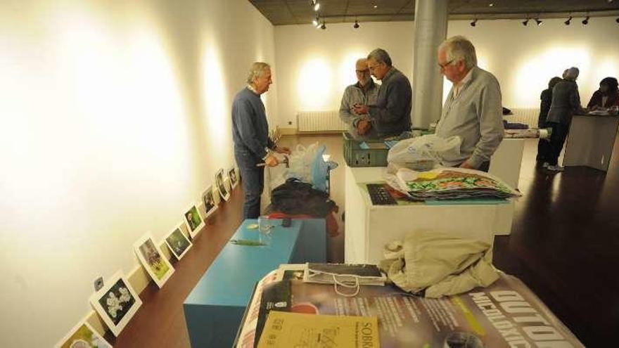 El montaje de la exposición sobre setas en el auditorio. // Iñaki Abella