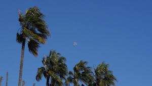 Activada l'alerta per fort vent la nit de dimecres a dijous a comarques de Tarragona i l'Ebre
