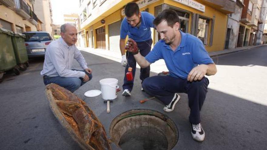 Una plaga de cucarachas erradicada con cebos en Vila-real