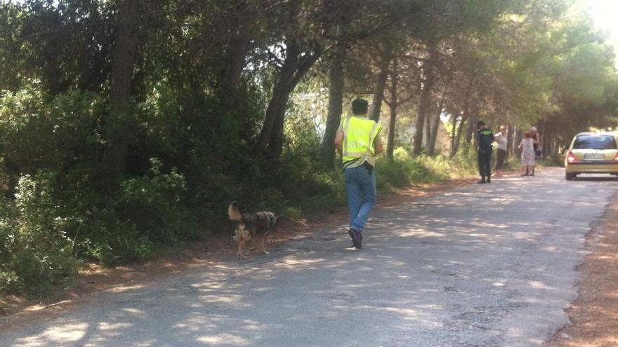 El perro de la desaparecida en Benicarló vuelve a casa sin ella