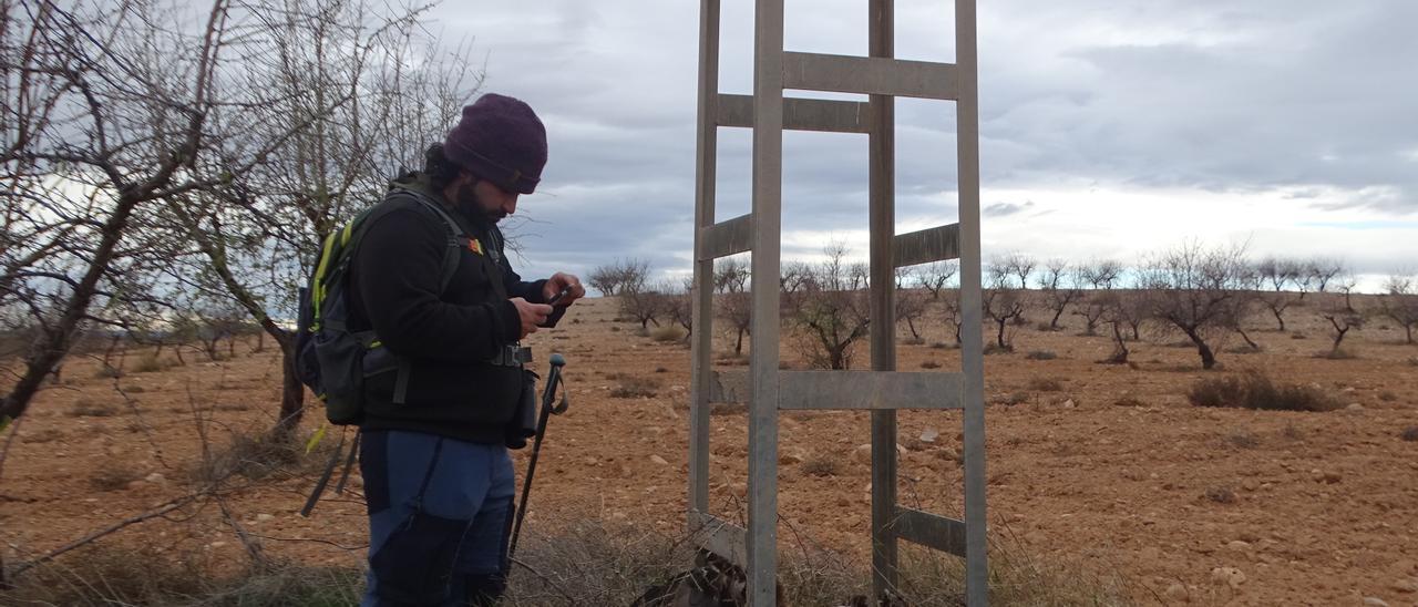 El cadáver de un águila real, bajo un tendido eléctrico sin protección.