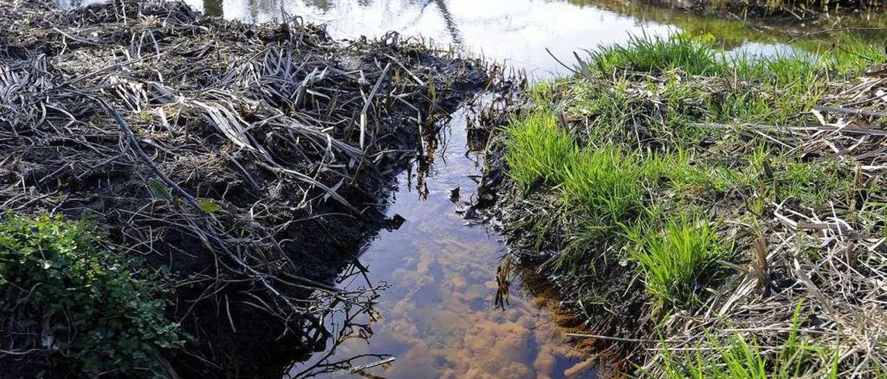 En el entorno de la laguna inferior el agua presenta una gran concentración de materia de color parduzco. // Bernabé/Javier Lalín