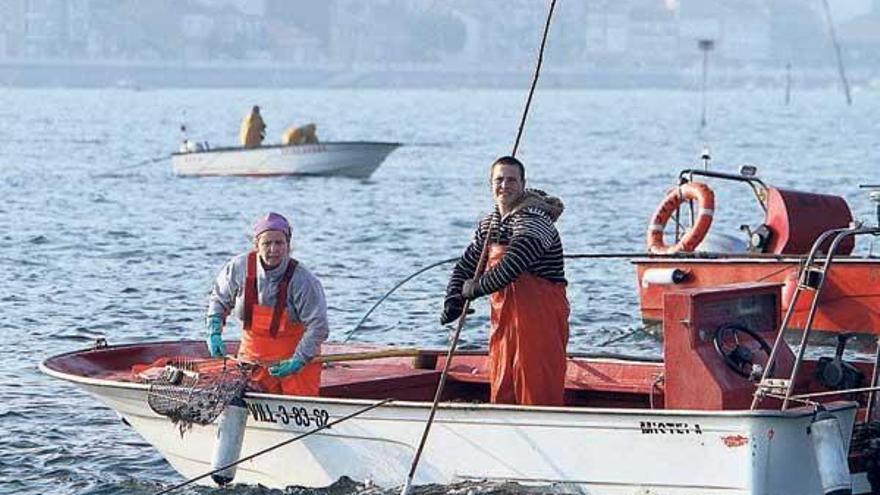 Barcos participantes en la campaña de libre marisqueo desarrollada en Os Lombos do Ulla.  //  J.L. Oubiña