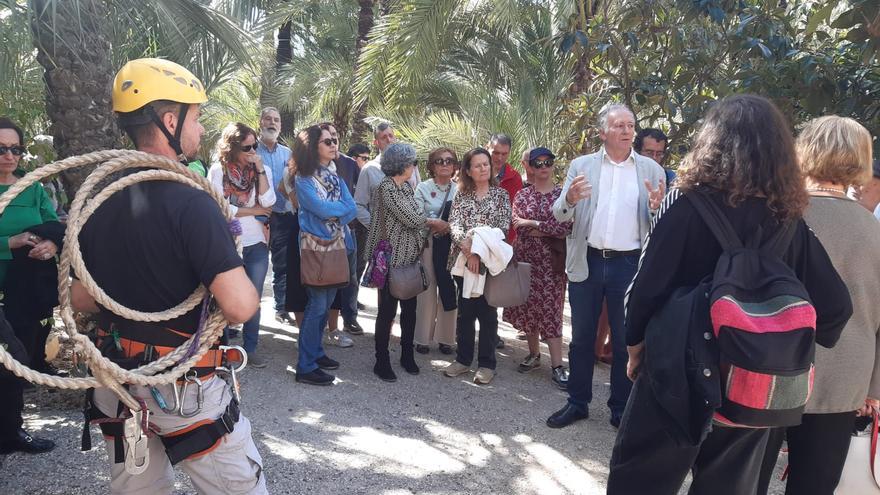 ICOMOS visita el Palmeral de Elx