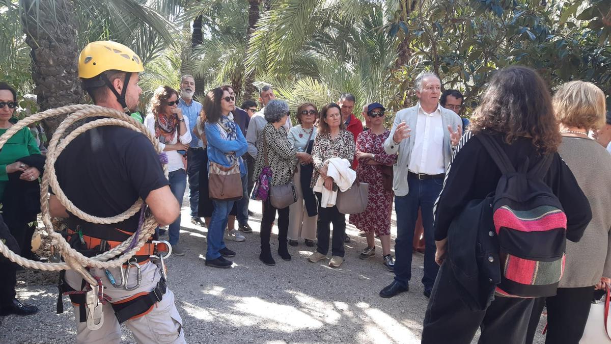 Un momento de la visita de los responsables de ICOMOS al palmeral de Elche. | INFORMACIÓN
