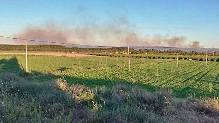 Comença la campanya  per reduir els incendis als boscos de ribera catalans