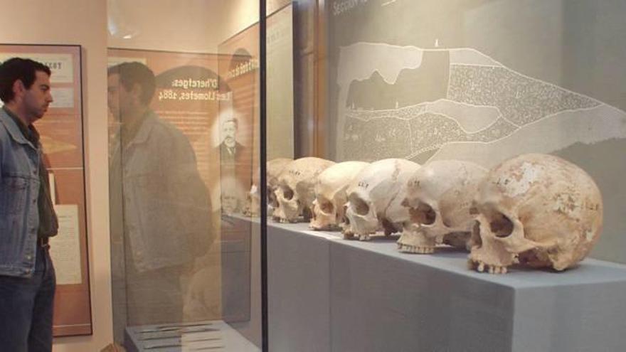 El Museo Arqueológico cede huesos de la Cova de Santa Maira a una exposición