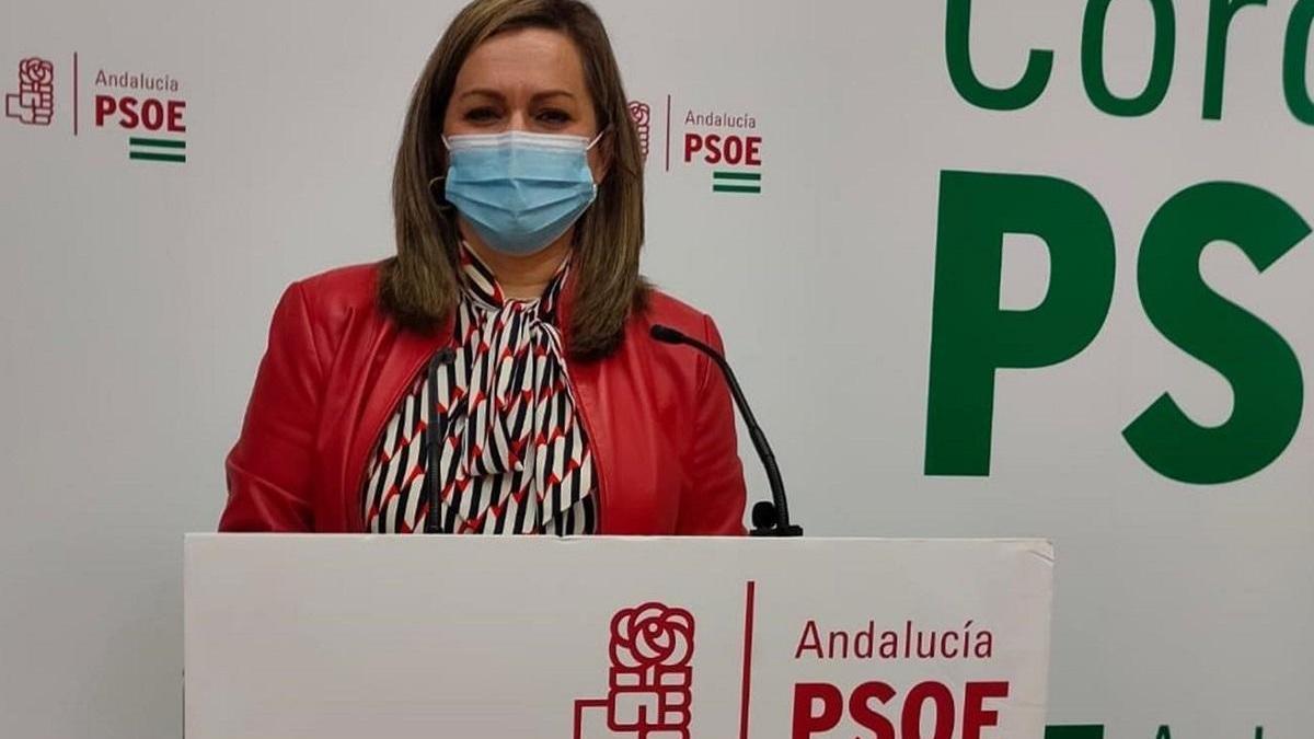 El PSOE-A critica que Moreno tiene &quot;estrangulada&quot; la Dependencia