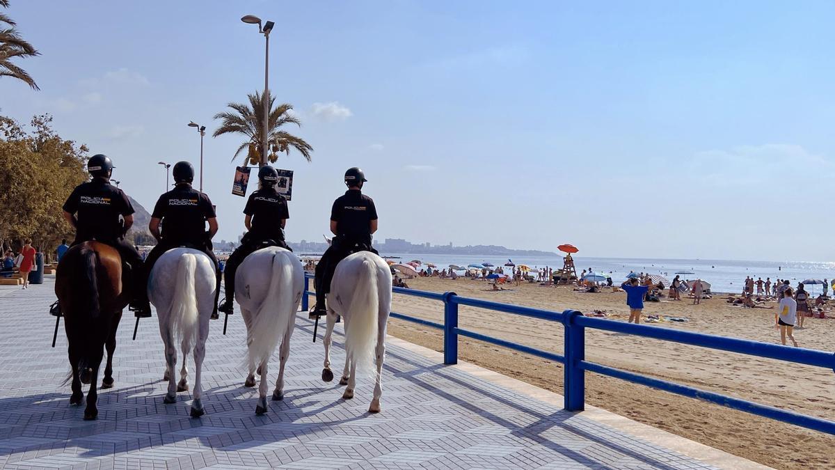 Los agentes patrullando a caballo por el Postiguet.