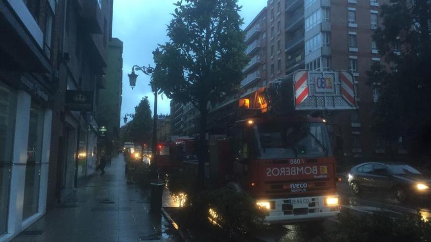 Hallan a una mujer y a sus dos perros inconscientes en un garaje de Oviedo